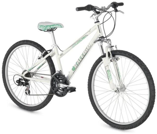 2009 Raleigh Eva 2.0