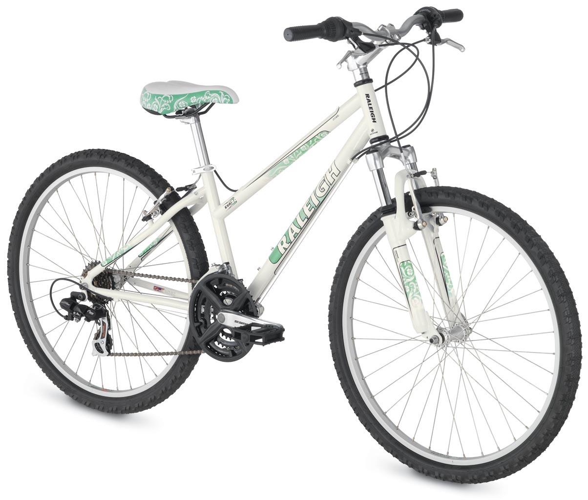 2009 Raleigh Eva 2.0