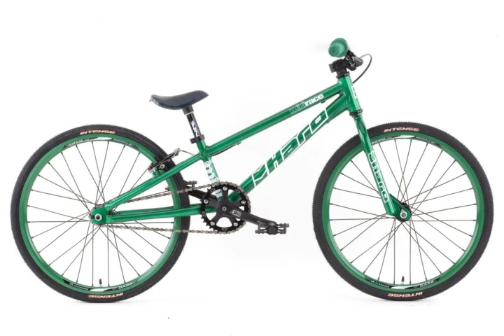 2009 Haro Mini