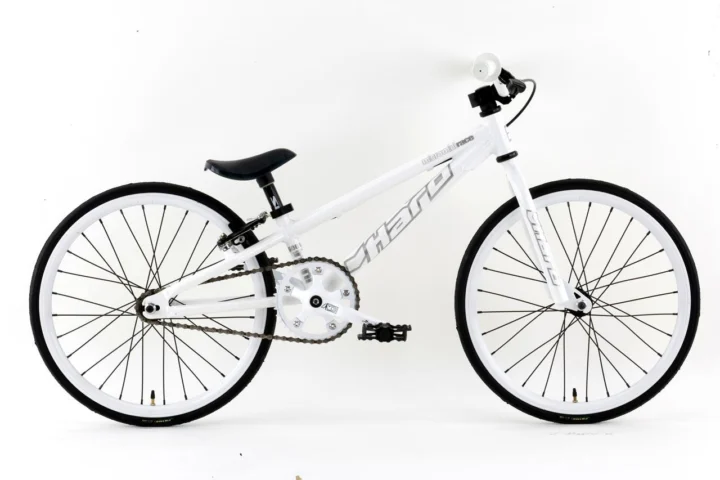 2009 Haro Micro Mini