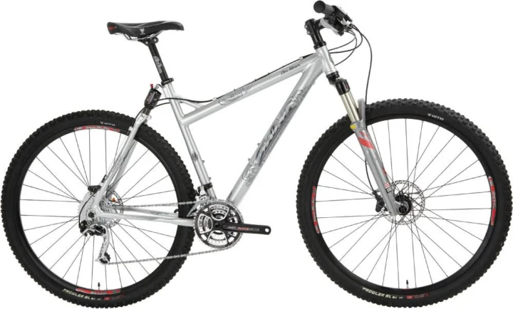 2009 Salsa Dos Niner