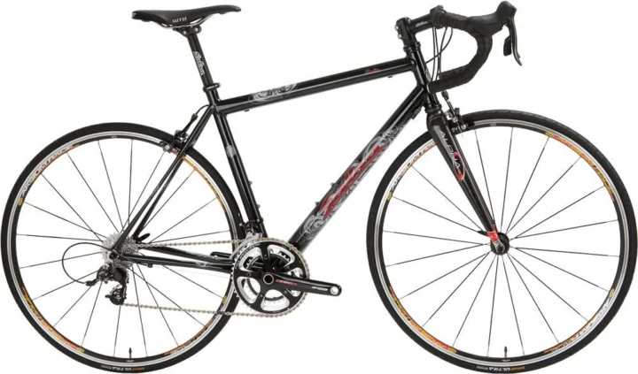 2009 Salsa Podio
