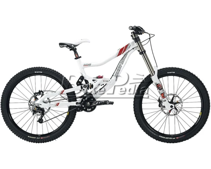 2009 Rocky Mountain Flatline Pro