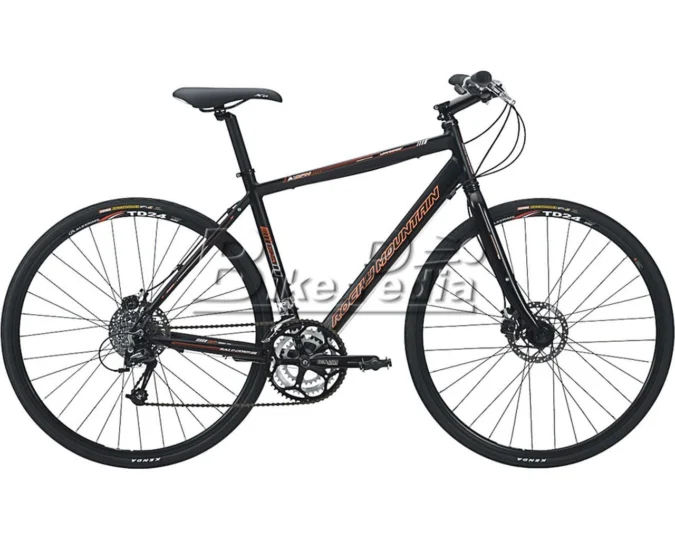 2009 Rocky Mountain RC 30 D