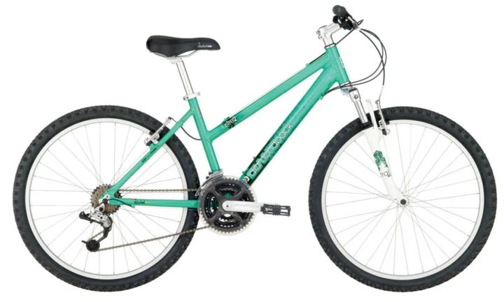 2009 Diamondback Lustre 2