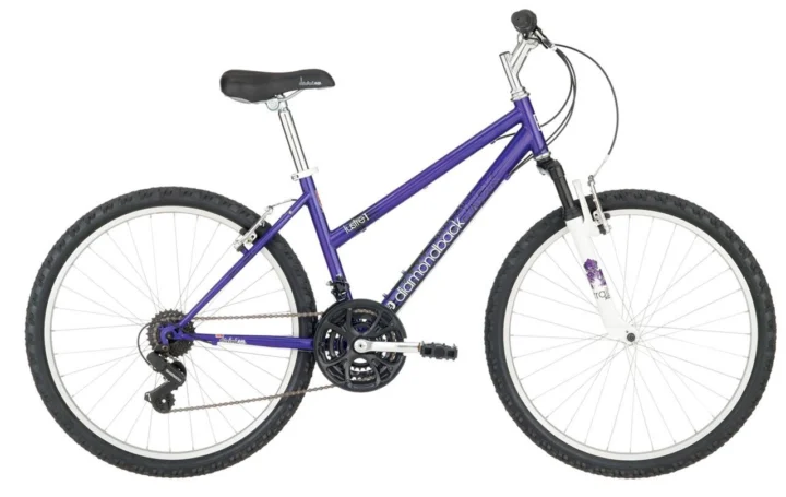 2009 Diamondback Lustre 1