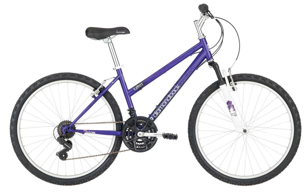 2009 Diamondback Lustre 1
