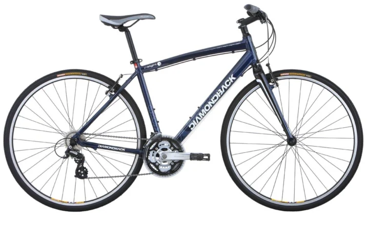 2009 Diamondback Insight 1
