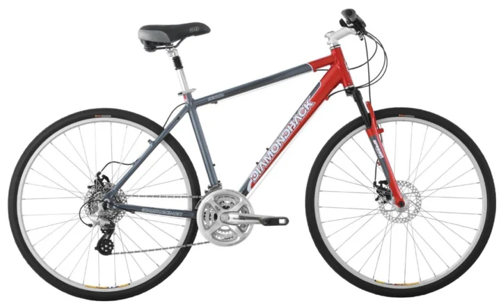 2009 Diamondback Menona