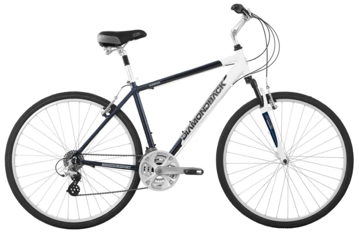 2009 Diamondback Edgewood