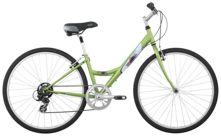 2009 Diamondback Vital 1