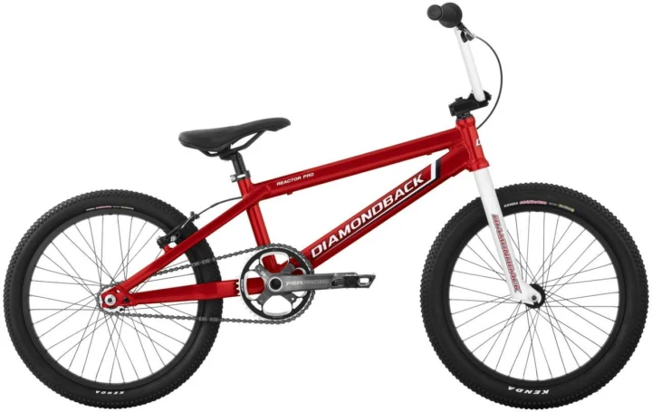 2009 Diamondback Reactor Pro