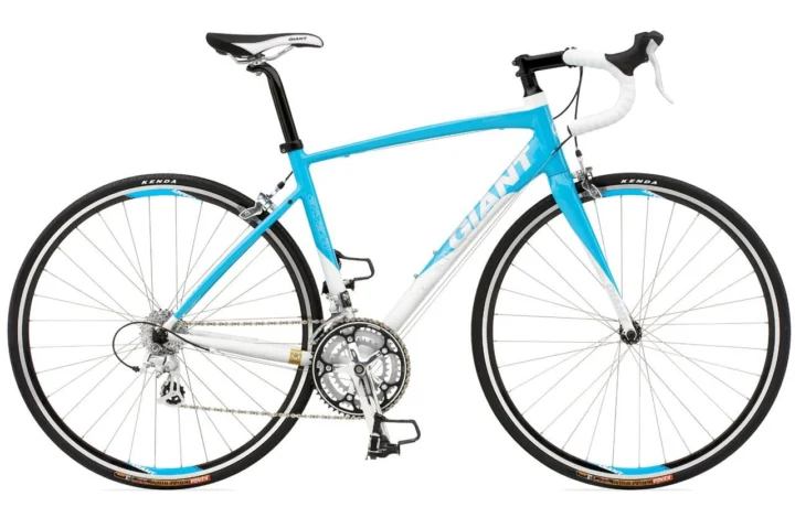 2010 Giant Avail 3
