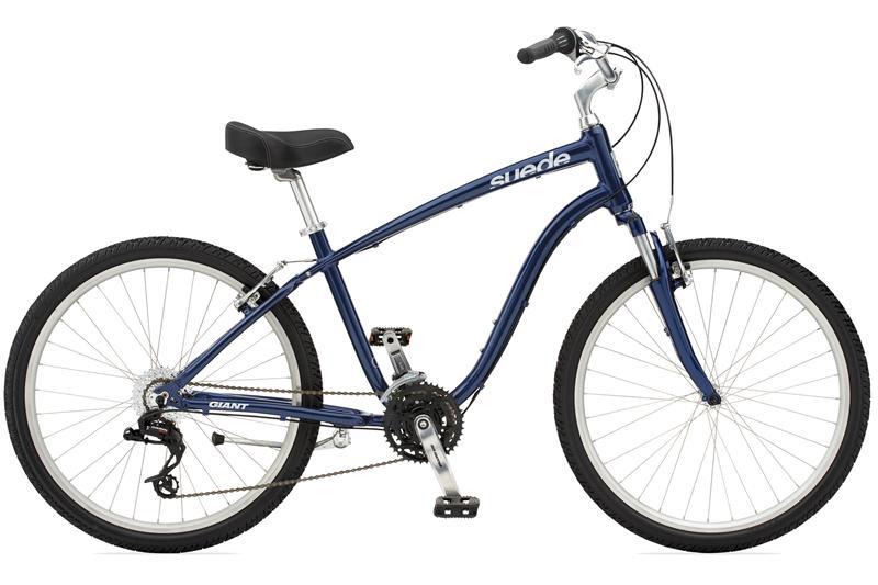 2010 Giant Suede DX