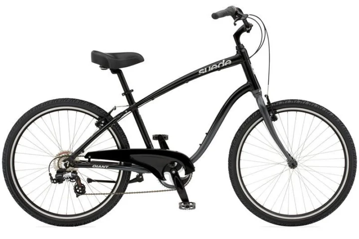 2010 Giant Suede