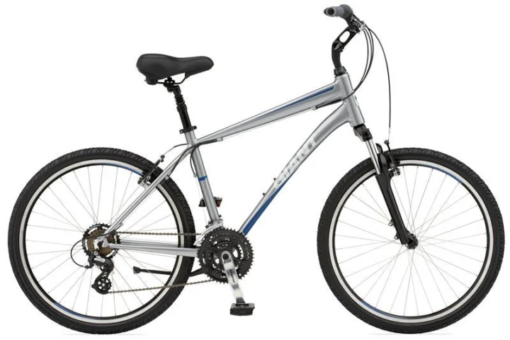 2010 Giant Sedona