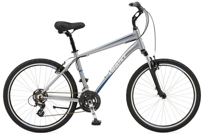2010 Giant Sedona