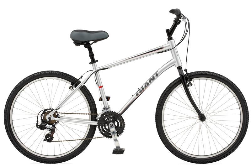 2010 Giant Sedona ST
