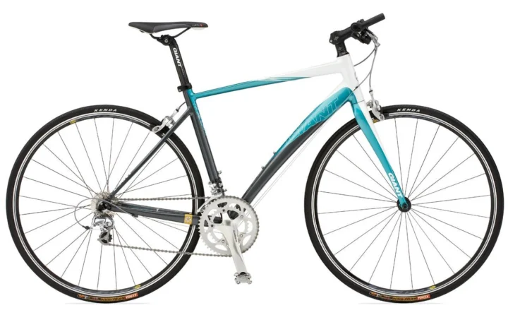 2010 Giant Dash 1