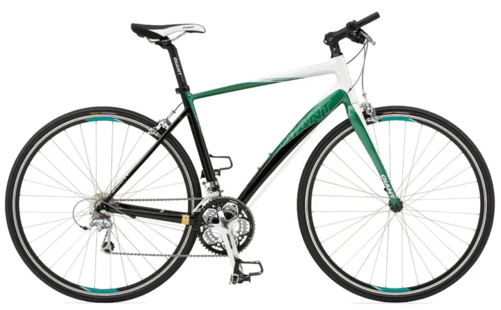 2010 Giant Dash 2