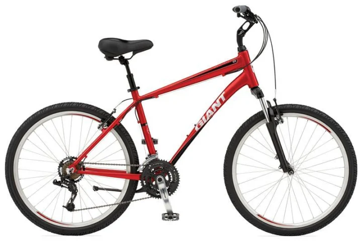 2010 Giant Sedona DX