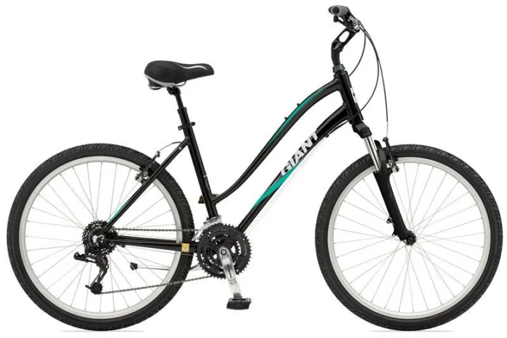 2010 Giant Sedona DX W