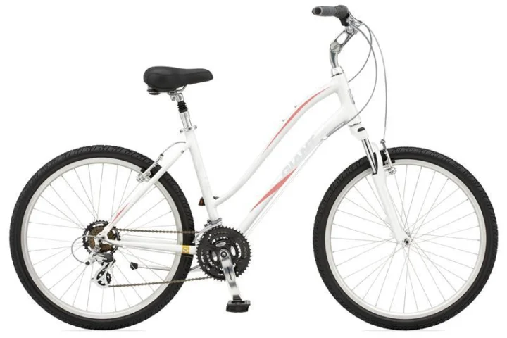 2010 Giant Sedona W