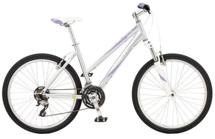 2010 Giant Boulder SE W