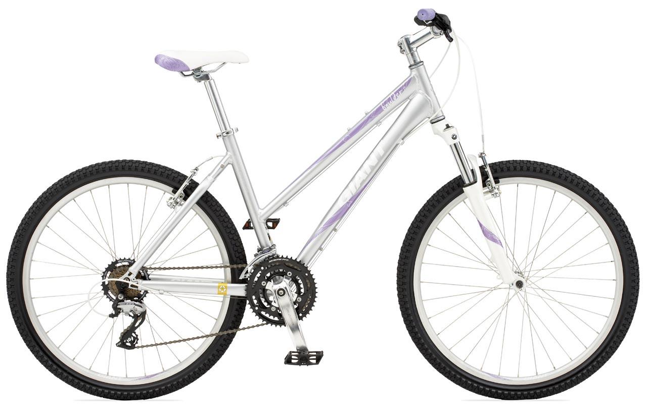 2010 Giant Boulder SE W
