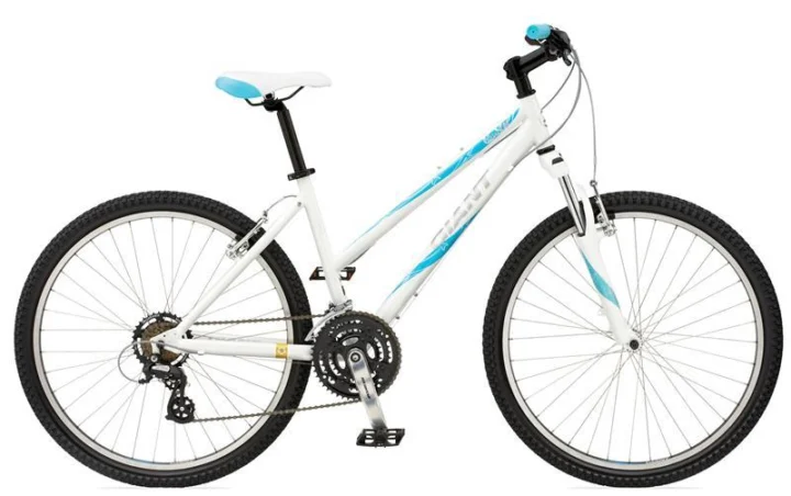 2010 Giant Boulder W