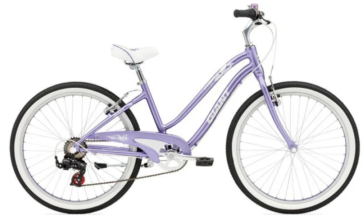 2010 Giant Gloss