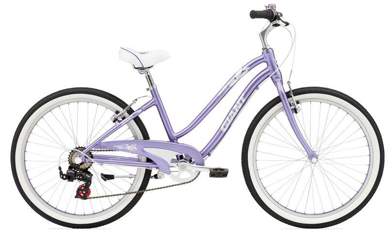 2010 Giant Gloss