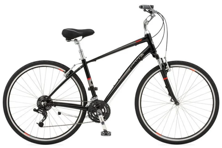 2010 Giant Cypress DX
