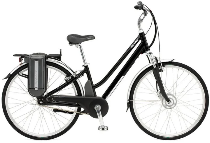 2010 Giant Twist Freedom W
