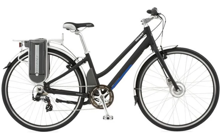 2010 Giant Twist Express W