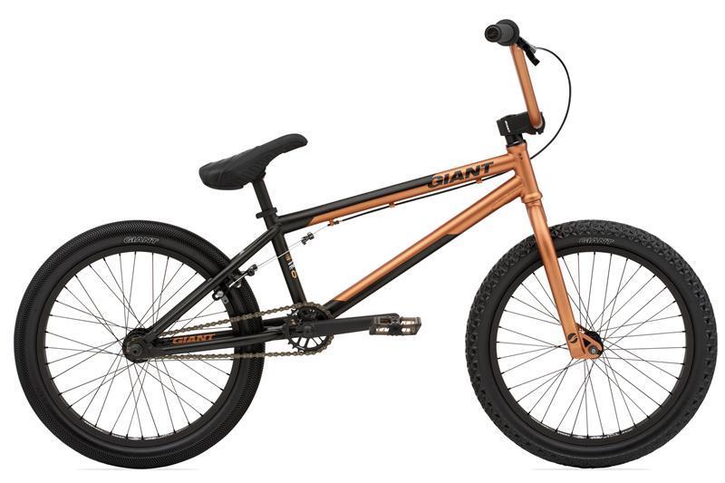 2010 Giant Method 01