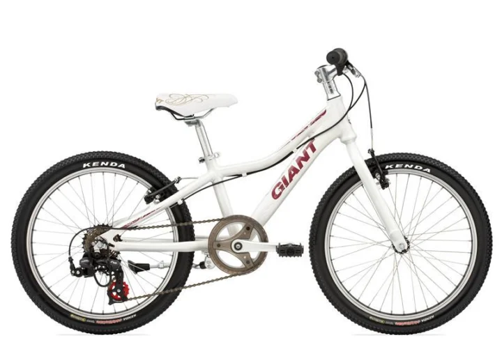 2010 Giant Areva 20
