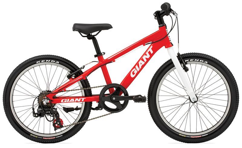 2010 Giant XTC Jr. 20