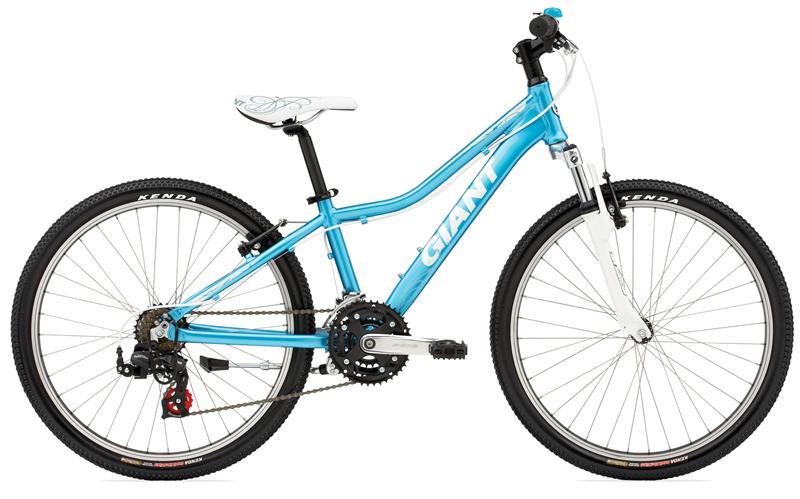 2010 Giant Areva 24