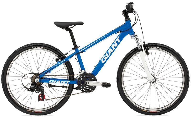 2010 Giant XTC Jr 24