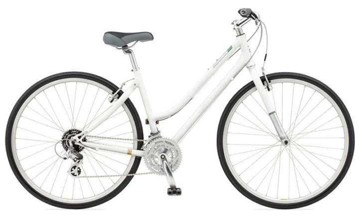 2010 Giant TranSend W