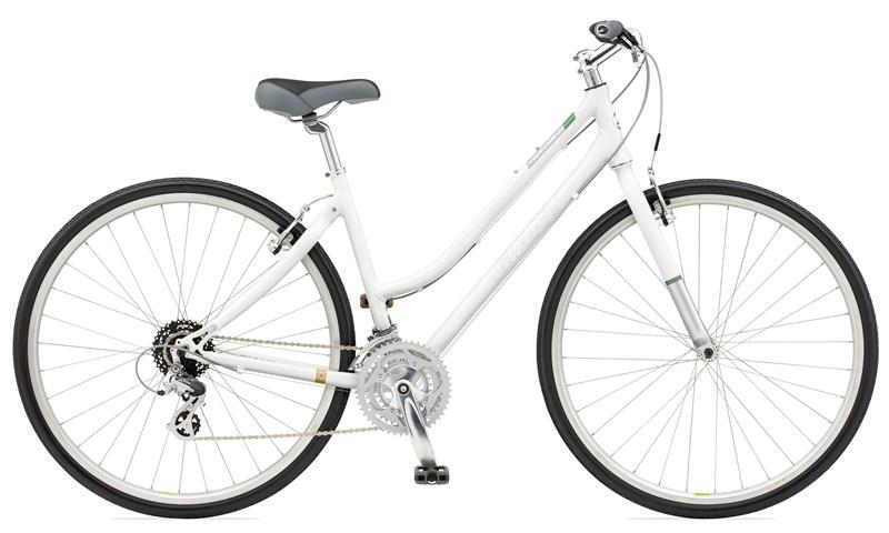 2010 Giant TranSend W