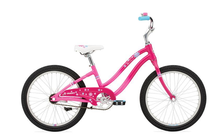 2010 Giant Bella (w/o fender)