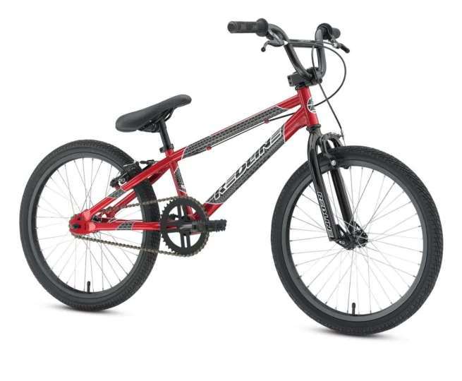 2010 Redline Raid FW