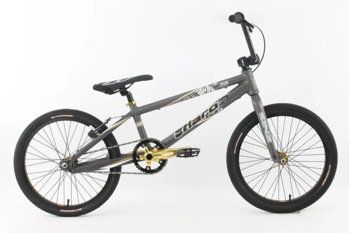 2010 Haro Team Issue