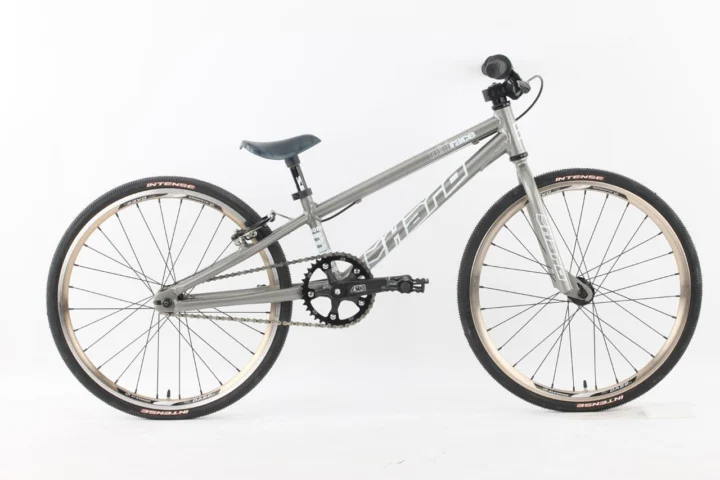 2010 Haro Race Mini