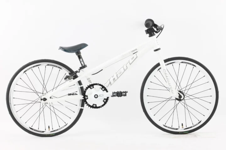 2010 Haro Race Micro Mini