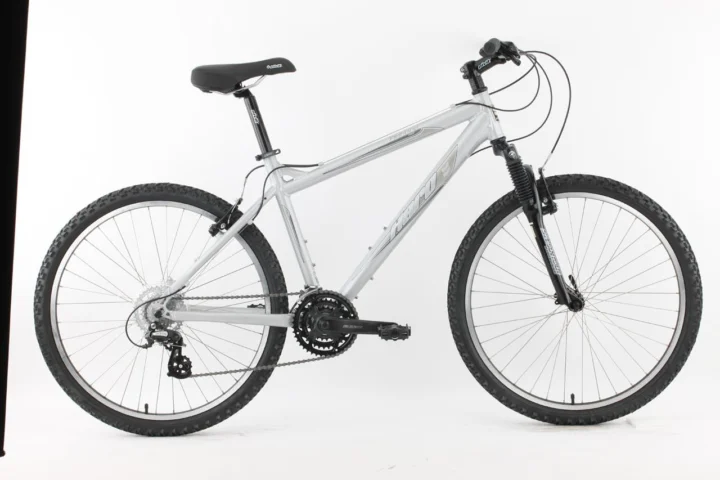 2010 Haro Flightline Two