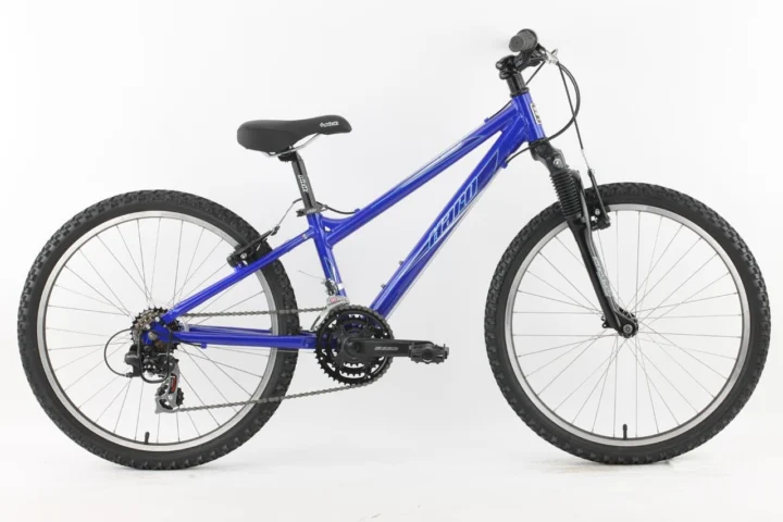2010 Haro Flightline 24