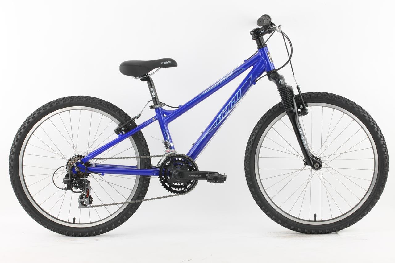 2010 Haro Flightline 24